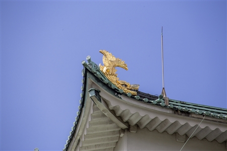 Nagoya Castle(335)