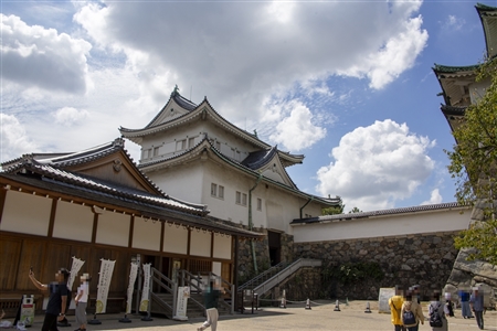 Nagoya Castle(336)