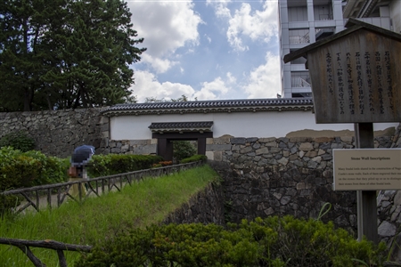 Nagoya Castle(345)