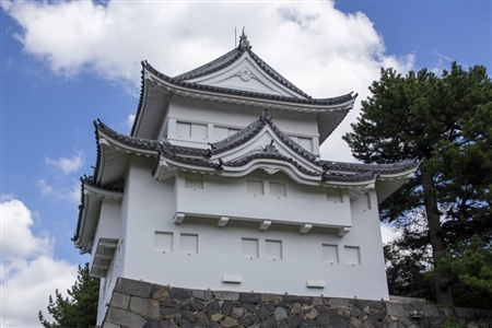 Nagoya Castle(35)
