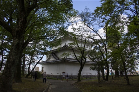 Nagoya Castle(358)