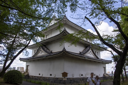 Nagoya Castle(359)