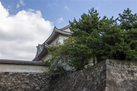 Nagoya Castle(367)
