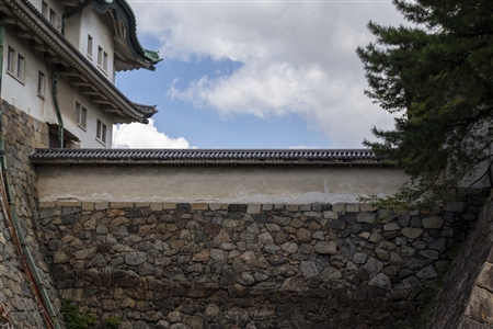 Nagoya Castle(370)