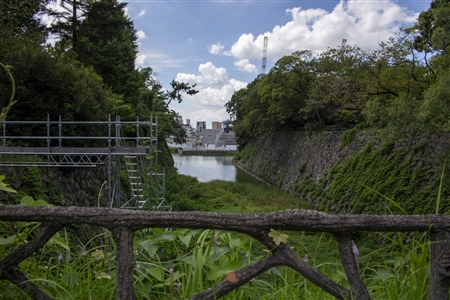 Nagoya Castle(373)