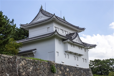 Nagoya Castle(376)