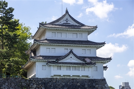 Nagoya Castle(383)