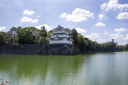 Nagoya Castle(385)