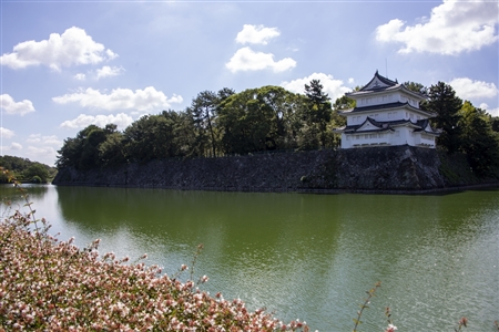 Nagoya Castle(387)