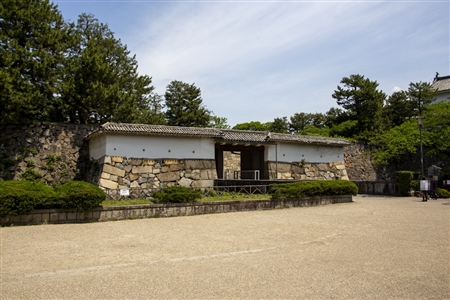 名古屋城(399)