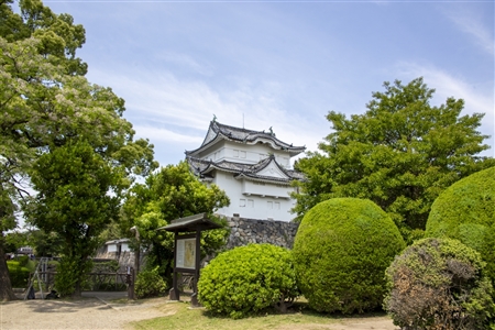 Nagoya Castle(400)