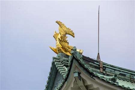 Nagoya Castle(411)