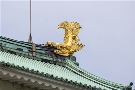 Nagoya Castle(412)
