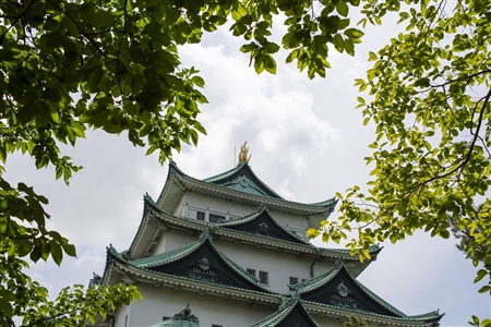 Nagoya Castle(416)