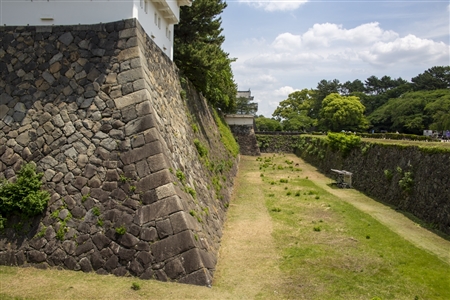 Nagoya Castle(422)