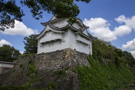Nagoya Castle(50)