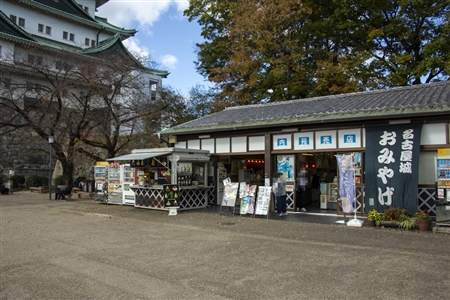 Nagoya Castle(519)