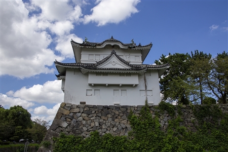 Nagoya Castle(54)