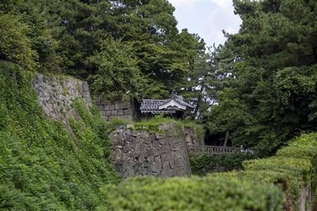 Nagoya Castle(56)