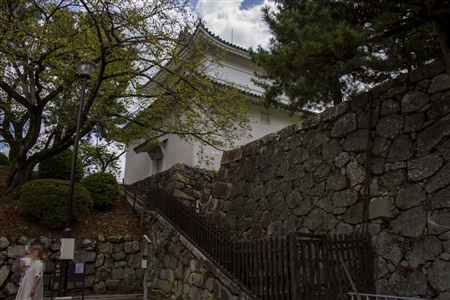 Nagoya Castle(76)