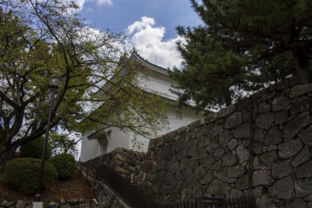 Nagoya Castle(77)