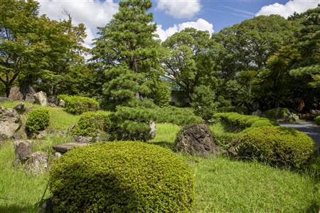 二の丸庭園(名古屋城)(13)