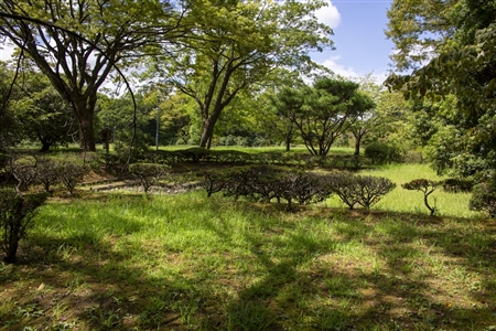 二の丸庭園(名古屋城)(32)