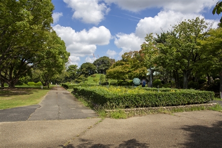 二の丸庭園(名古屋城)(6)