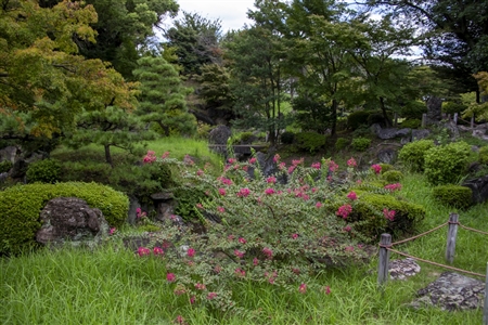 二の丸庭園(名古屋城)(64)
