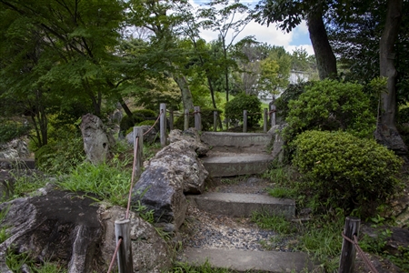 二の丸庭園(名古屋城)(66)