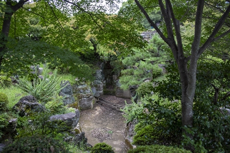 二の丸庭園(名古屋城)(67)