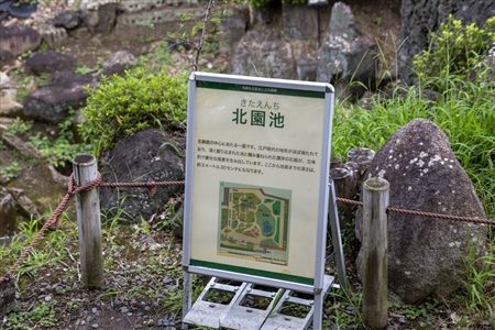 二の丸庭園(名古屋城)(68)