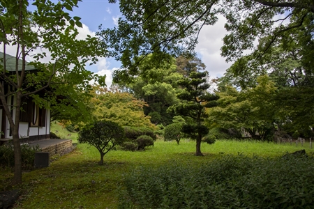 二の丸庭園(名古屋城)(88)