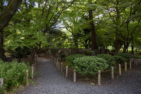 二の丸庭園(名古屋城)(89)