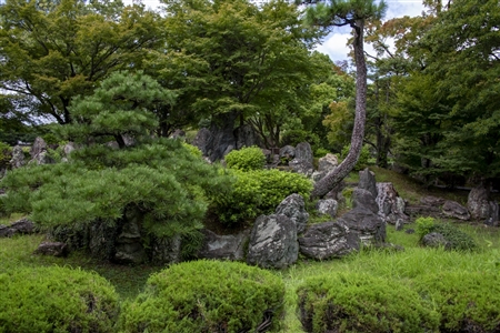 二の丸庭園(名古屋城)(91)