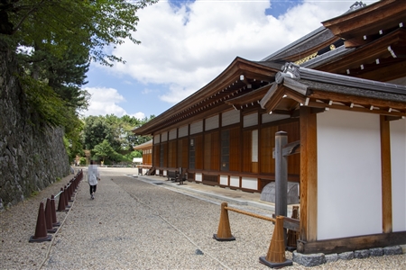 本丸御殿(名古屋城)(181)
