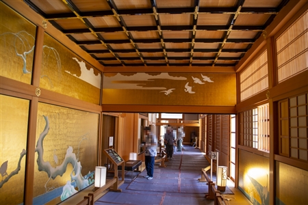 本丸御殿(名古屋城)(286)