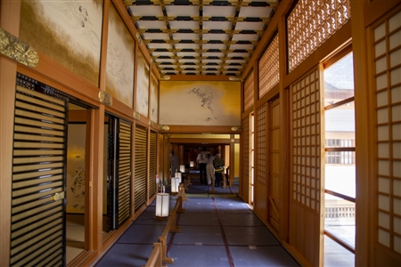 本丸御殿(名古屋城)(307)