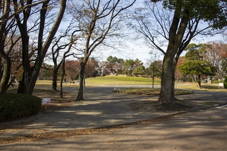 名城公園(48)