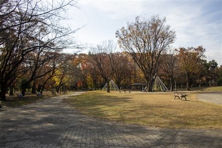 名城公園(51)
