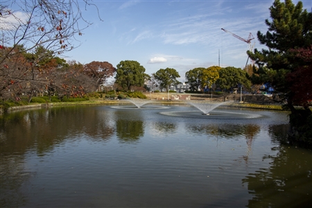 名城公園(61)
