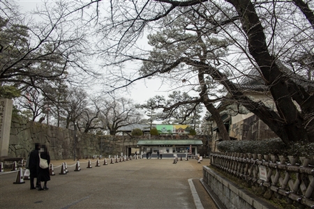 名古屋城の雪景色(1)
