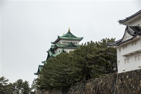 名古屋城の雪景色(10)