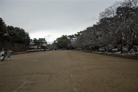 名古屋城の雪景色(11)