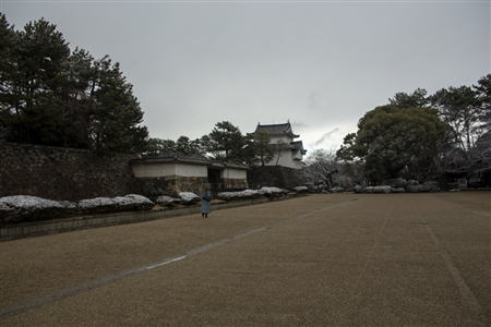 名古屋城の雪景色(12)