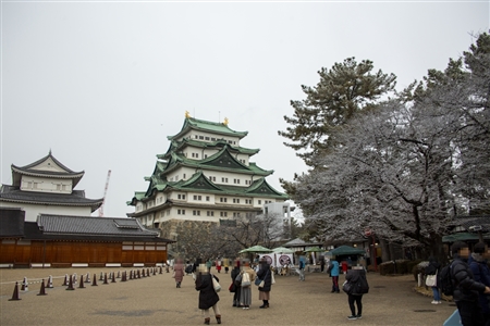 名古屋城の雪景色(13)