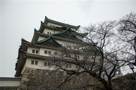 名古屋城の雪景色(17)