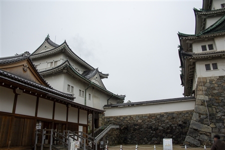名古屋城の雪景色(18)