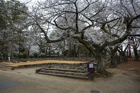 名古屋城の雪景色(20)