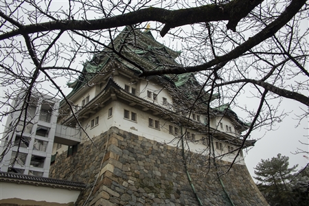 名古屋城の雪景色(21)